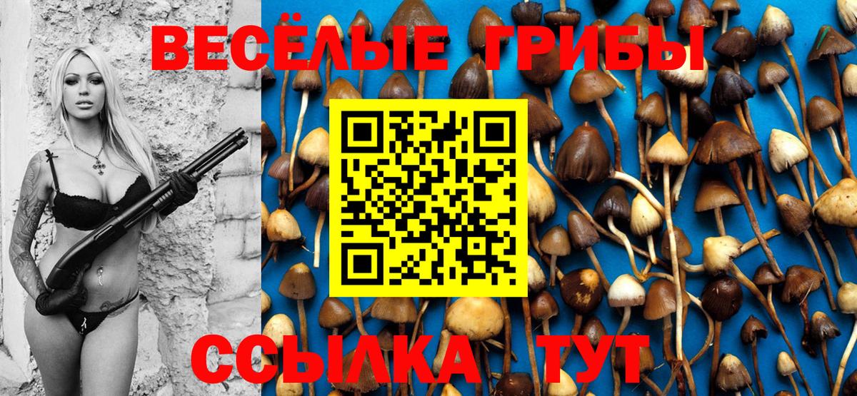 Псилоцибиновые грибы MAGIC MUSHROOMS Краснокаменск