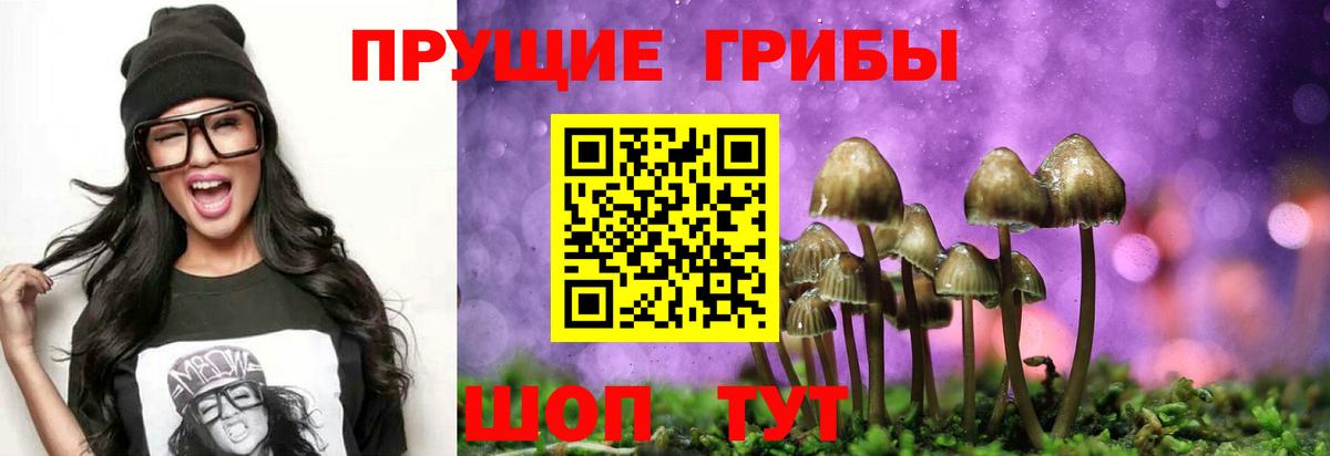 закладки  Псилоцибиновые грибы мицелий  Вход с VPN  Псилоцибиновые грибы прущие грибы  Краснокаменск 